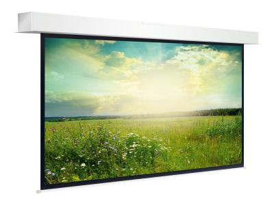 Projecta Descender Large Electrol HDTV Format - Leinwand - Deckenmontage - motorisiert - 505 cm (199") - 16:9