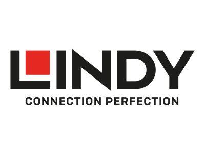 Lindy - Hub - mit Ein-/Aus-Schaltern - 10 x SuperSpeed USB 3.0 - Desktop